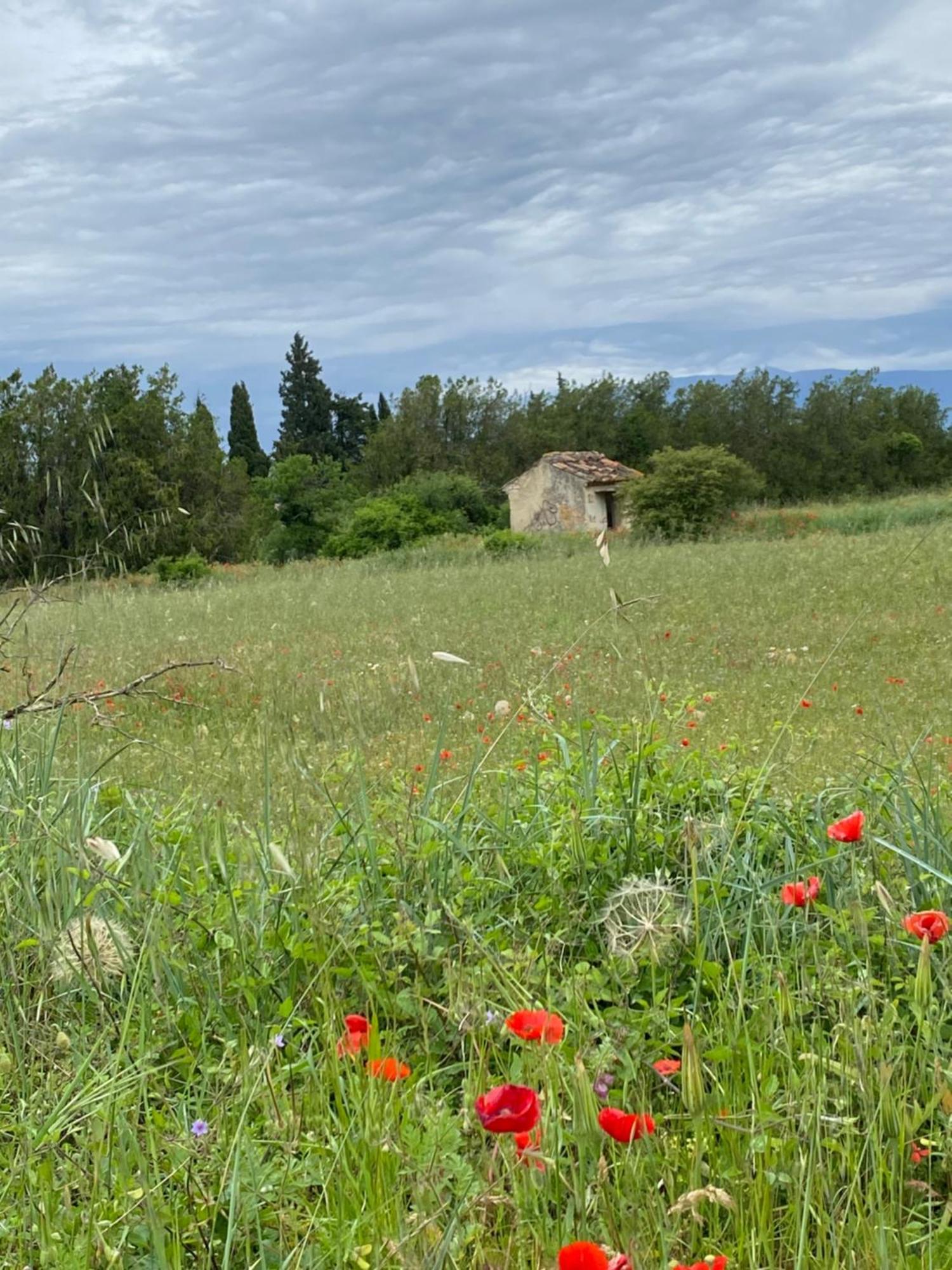 Inspiration Maison Entiere Avec Jardin Pernes-les-Fontaines Luaran gambar